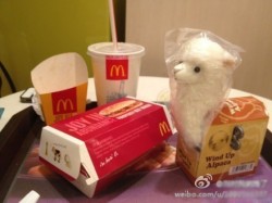 For a while, people were talking about a supposed Grass Mud Horse toy coming with McDonald's Happy Meals.
